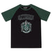 Harry Potter - Slytherin House (Unisex Raglan T-Shirt) Large