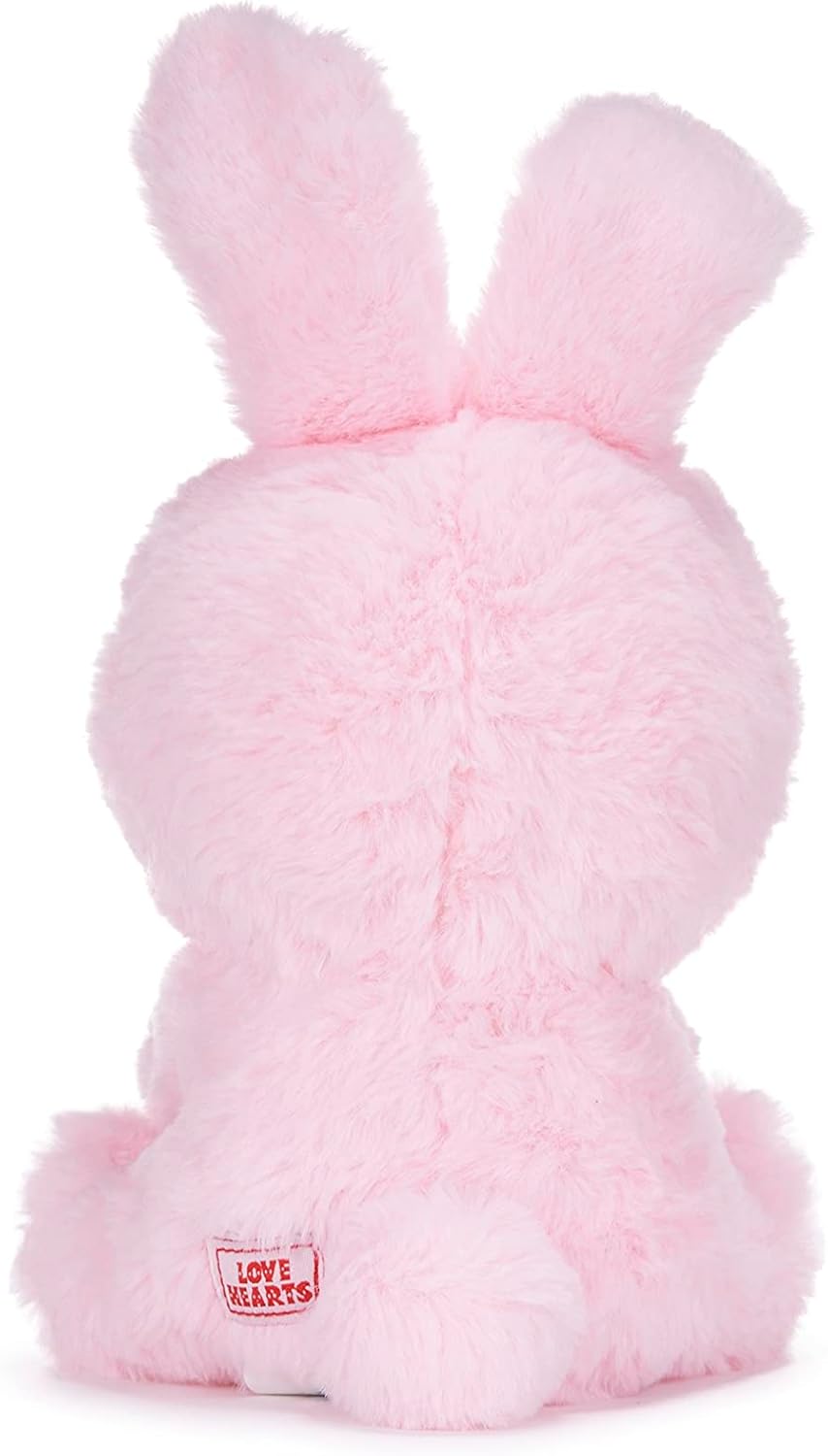 Swizzels Love Hearts 18cm (7-Inch) Baby Bunny Rabbit ‘SOMEBUNNY LOVES YOU’ Plush Soft Toy