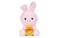 Swizzels Love Hearts 18cm (7-Inch) Baby Bunny Rabbit ‘SOMEBUNNY LOVES YOU’ Plush Soft Toy