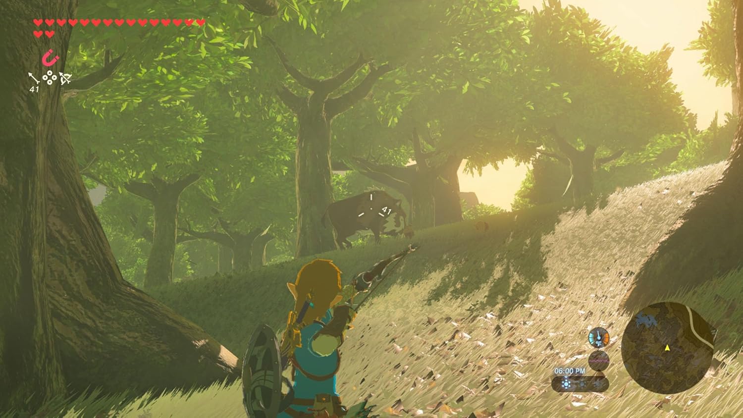 The Legend of Zelda: Breath of the Wild - Nintendo Switch 2 Edition