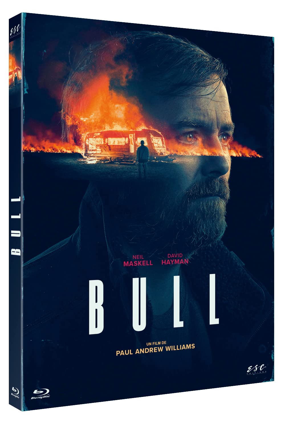 Bull
