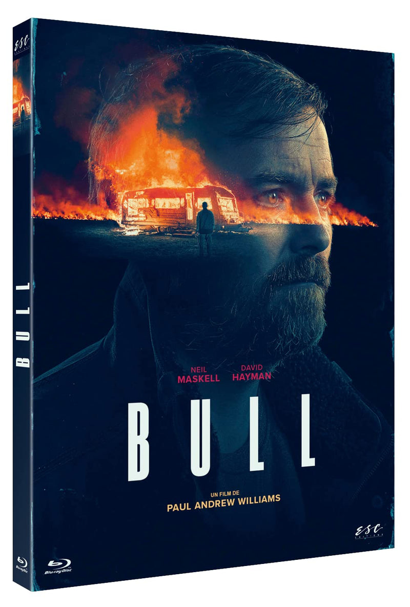 Bull