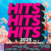 Hits Hits Hits 2025 Vol.2 / Various