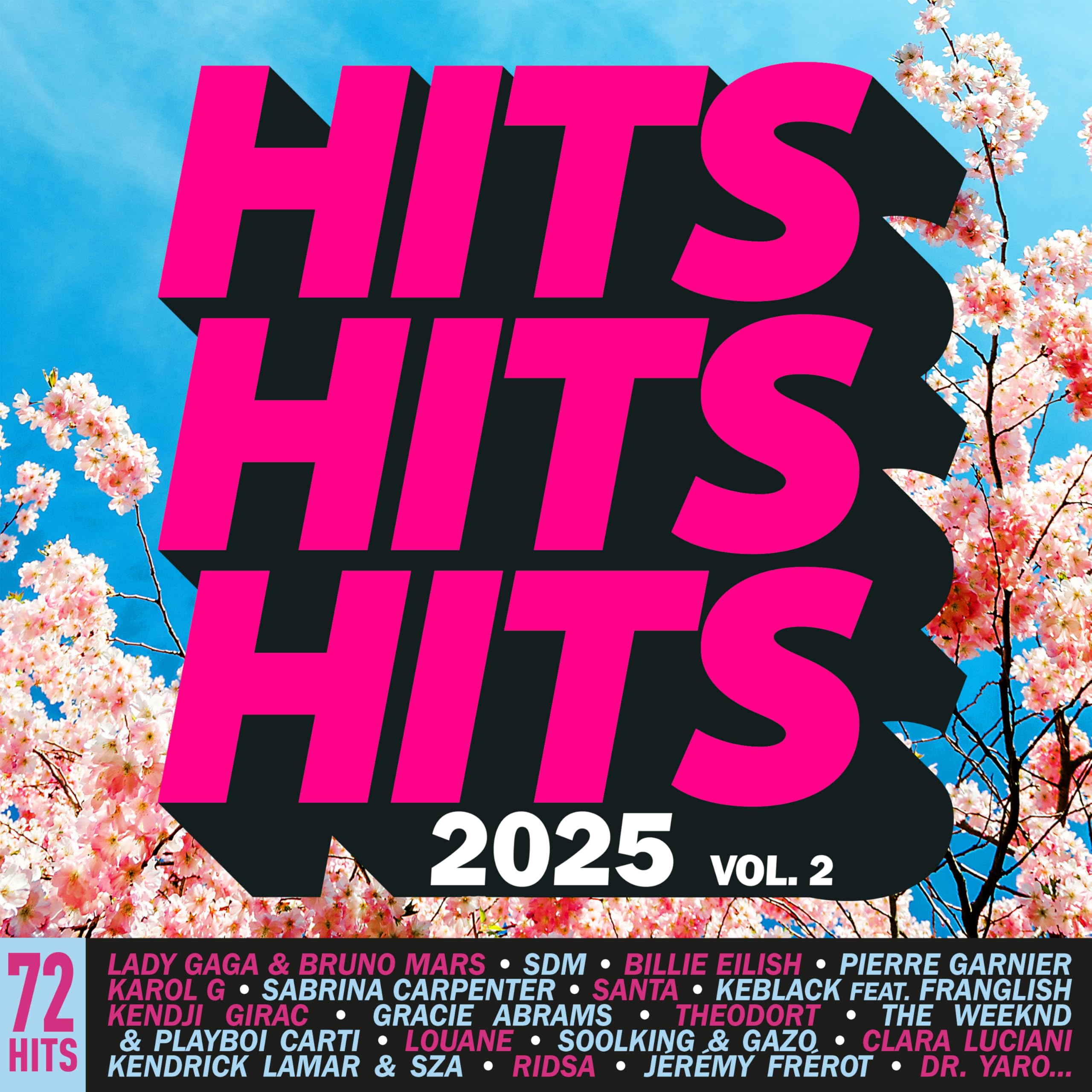 Hits Hits Hits 2025 Vol.2 / Various