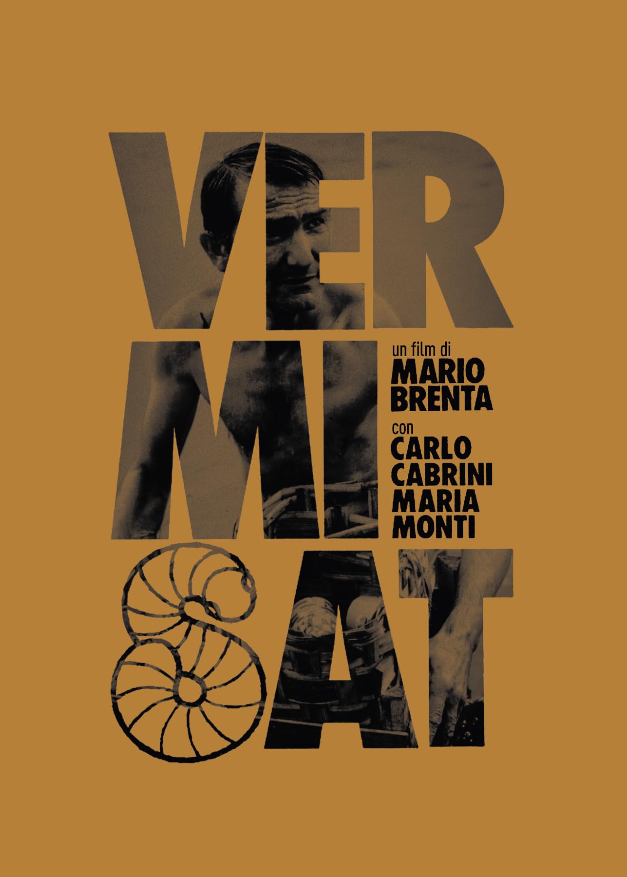 Vermisat