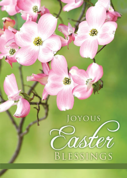 WARNER PRESS EVERYDAY HOPE OF EASTER - EASTER - KJV Scripture