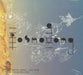 Biophilia Remix Series 3
