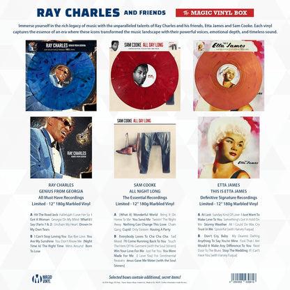 Ray Charles and Friends - Magic-V-Box schallplatten - einzigartig und limitiert - Top Geschenk!