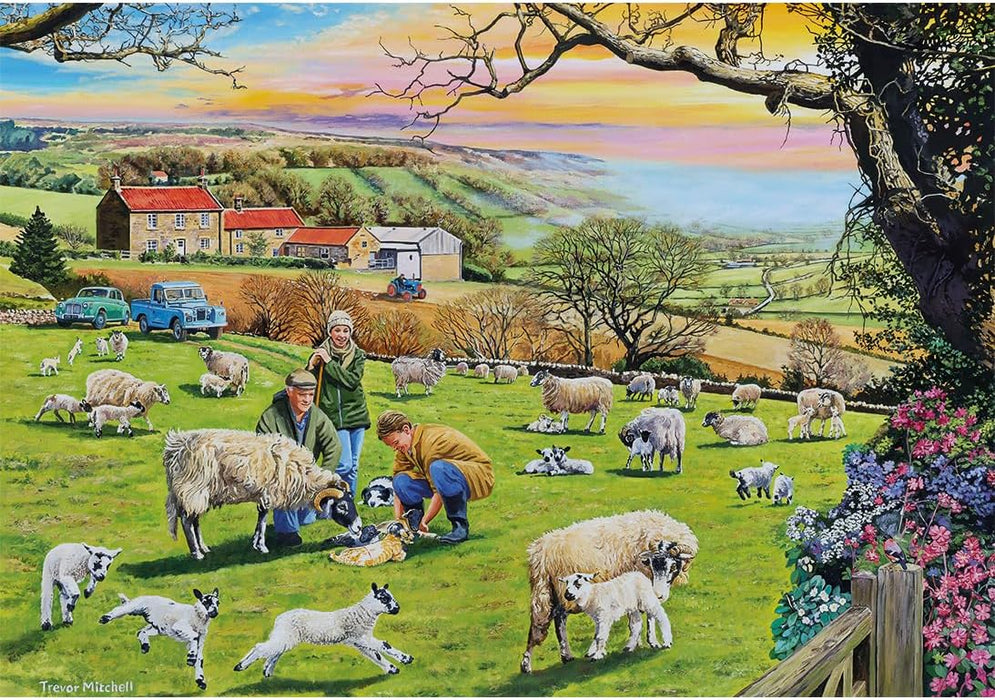 Gibsons | Call the Vet 4 x 500 Piece Jigsaw Puzzle Multi-Box Set of 4 Jigsaw Puzzles Sustainable Puzzle for Adults Teens Premium 100% Recycled Board | Great Gift | Gibsons Games