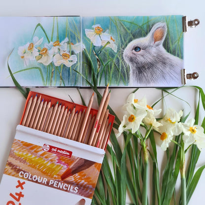 Talens Art Creation Kleurpotloden 24-delige set