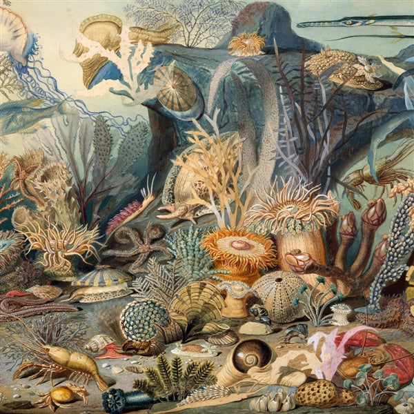 Episodes In Oceanography, Vol. 2
