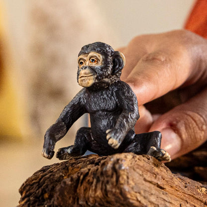 schleich 14884 Cría de chimpancé, da 3 anni, WILD LIFE - figura, 5 x 4 x 4 cm