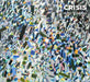 Crisis