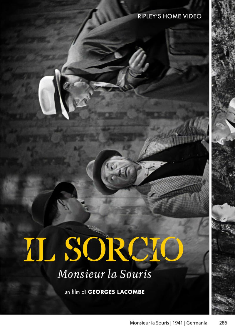 Sorcio (Il