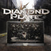 Diamond Plate-Generation Why