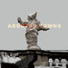 Aborted Towns, the Deadly Silence Before Utopia