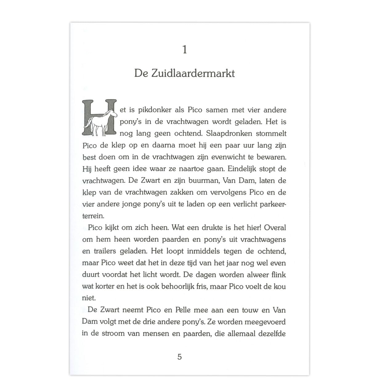 De zoektocht van Pico