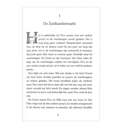 De zoektocht van Pico