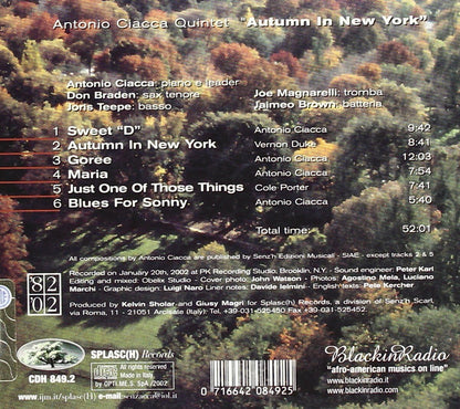 Autumn in New York