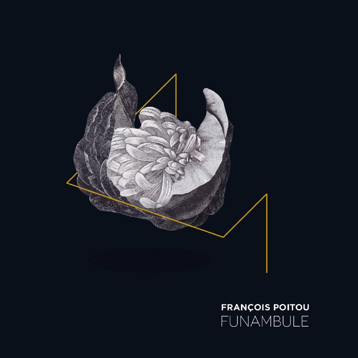 Funambule