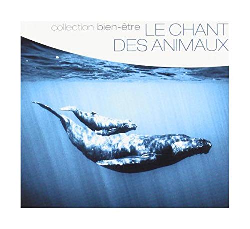 Le Chant Des Animaux