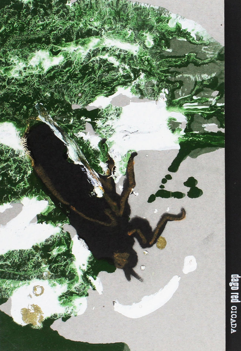 Cicada