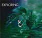 Exploring