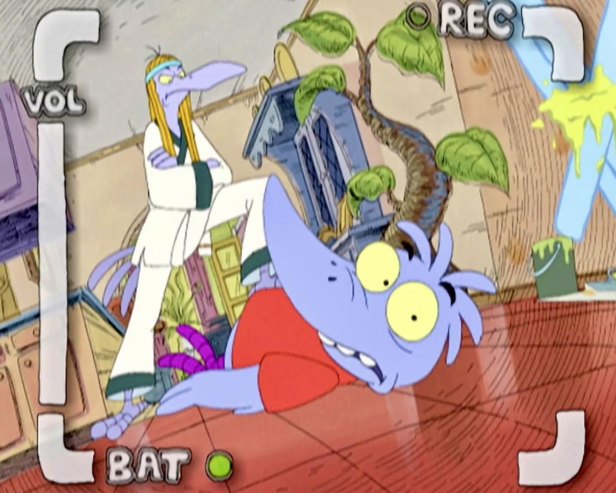 Birdz - Echt komische Vögel / Die komplette 13-teilige Kultserie (Pidax Animation