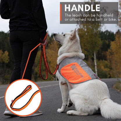 Non-Stop Dogwear Bungee Leash, Black/Orange - 2.0m/23mm