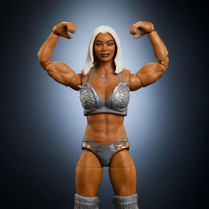 Mattel WWE Elite