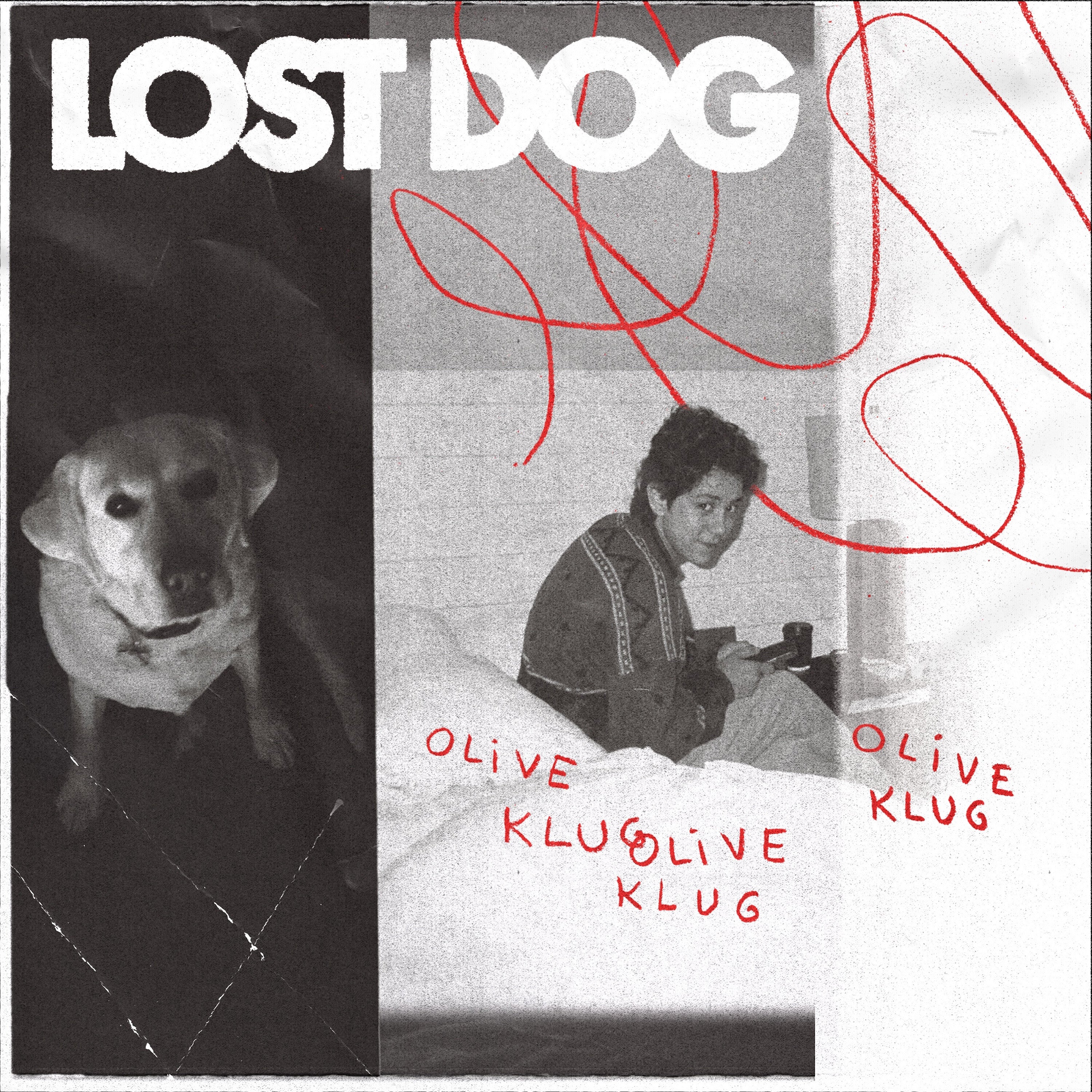 Lost Dog
