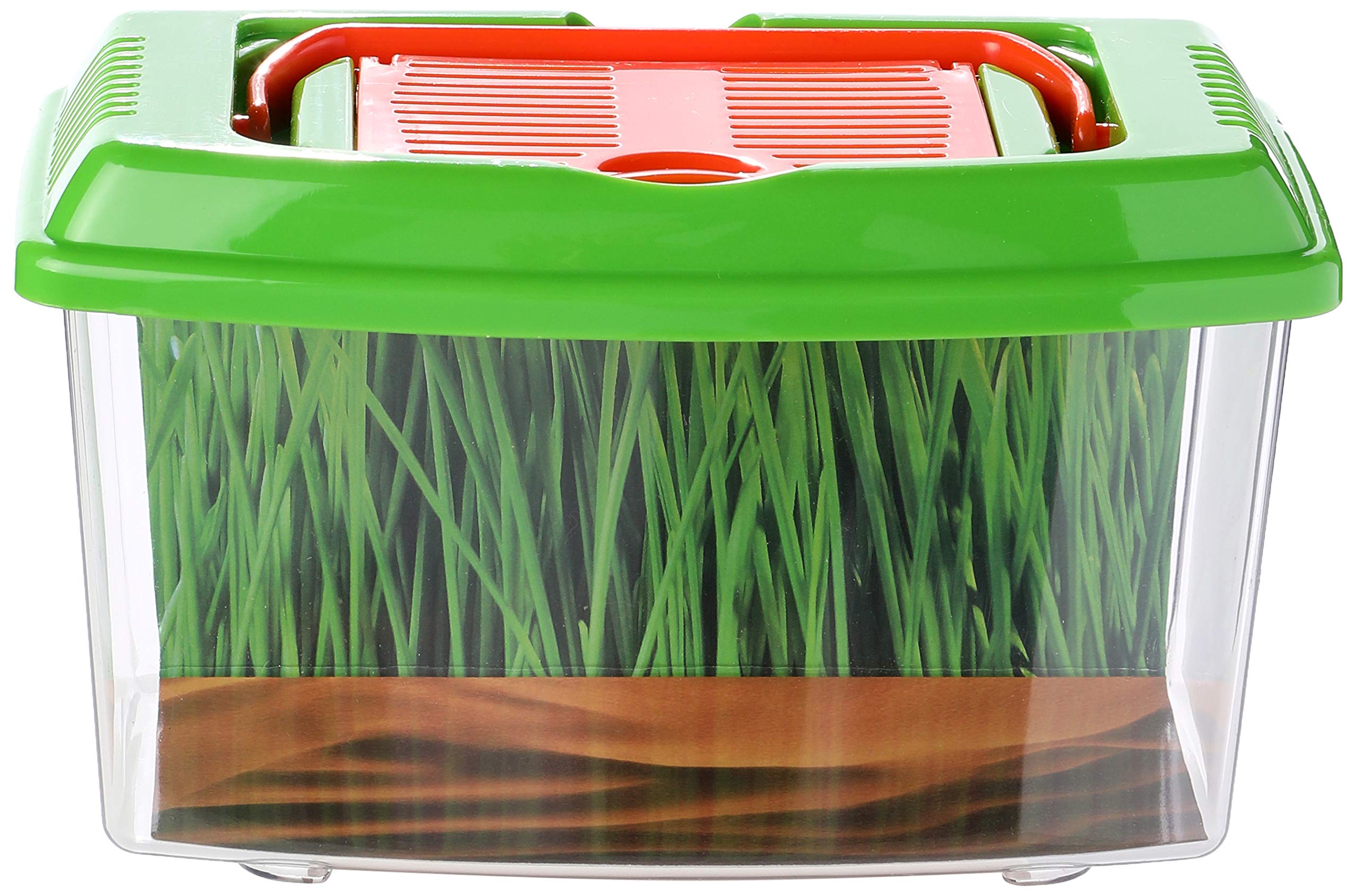 Play - Play Insecten Draagkoffer