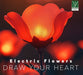 Electric Flowers: Draw Your Heart