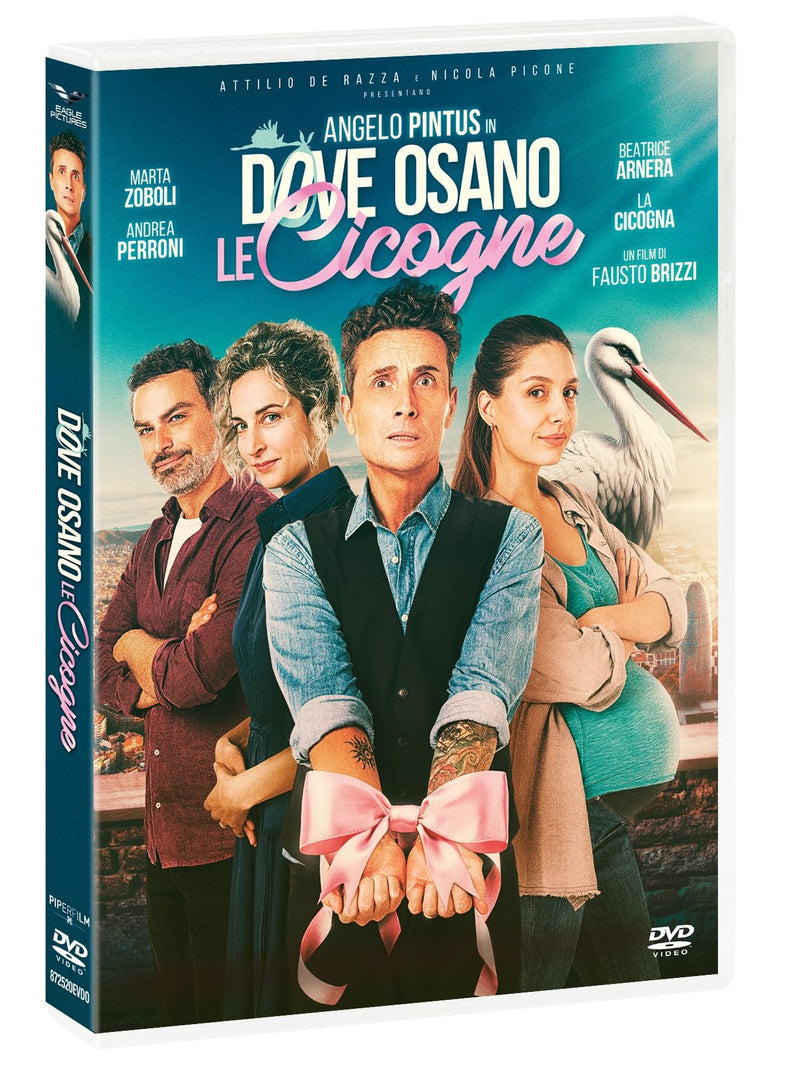 Dove Osano Le Cicogne