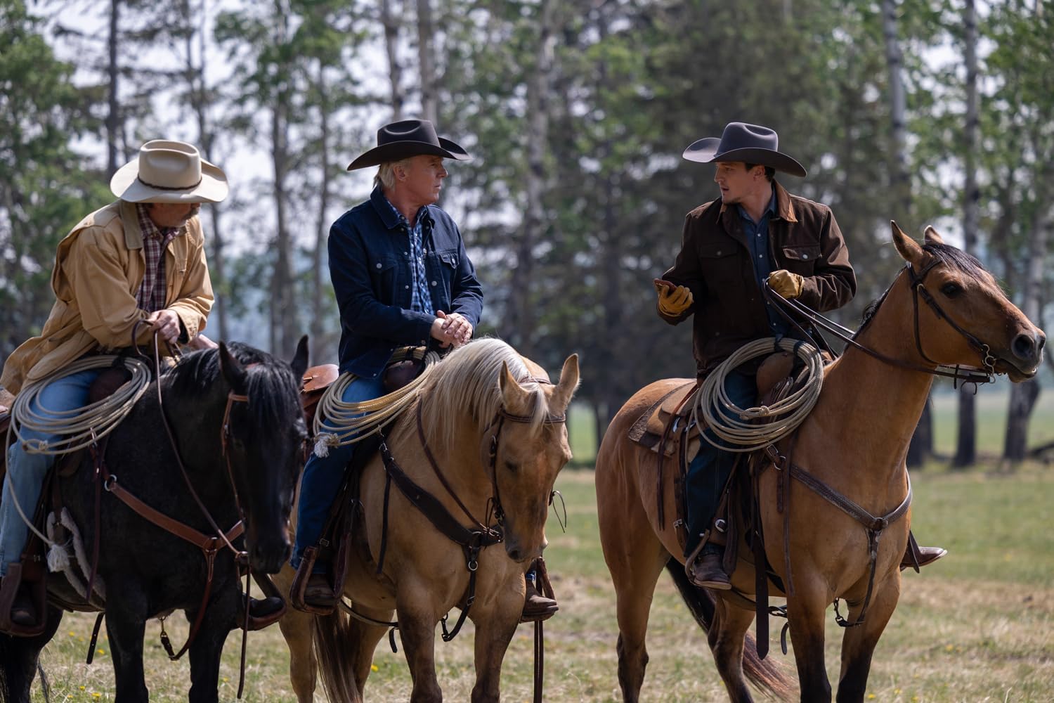 Heartland - Paradies für Pferde, Staffel 17 (3 DVDs