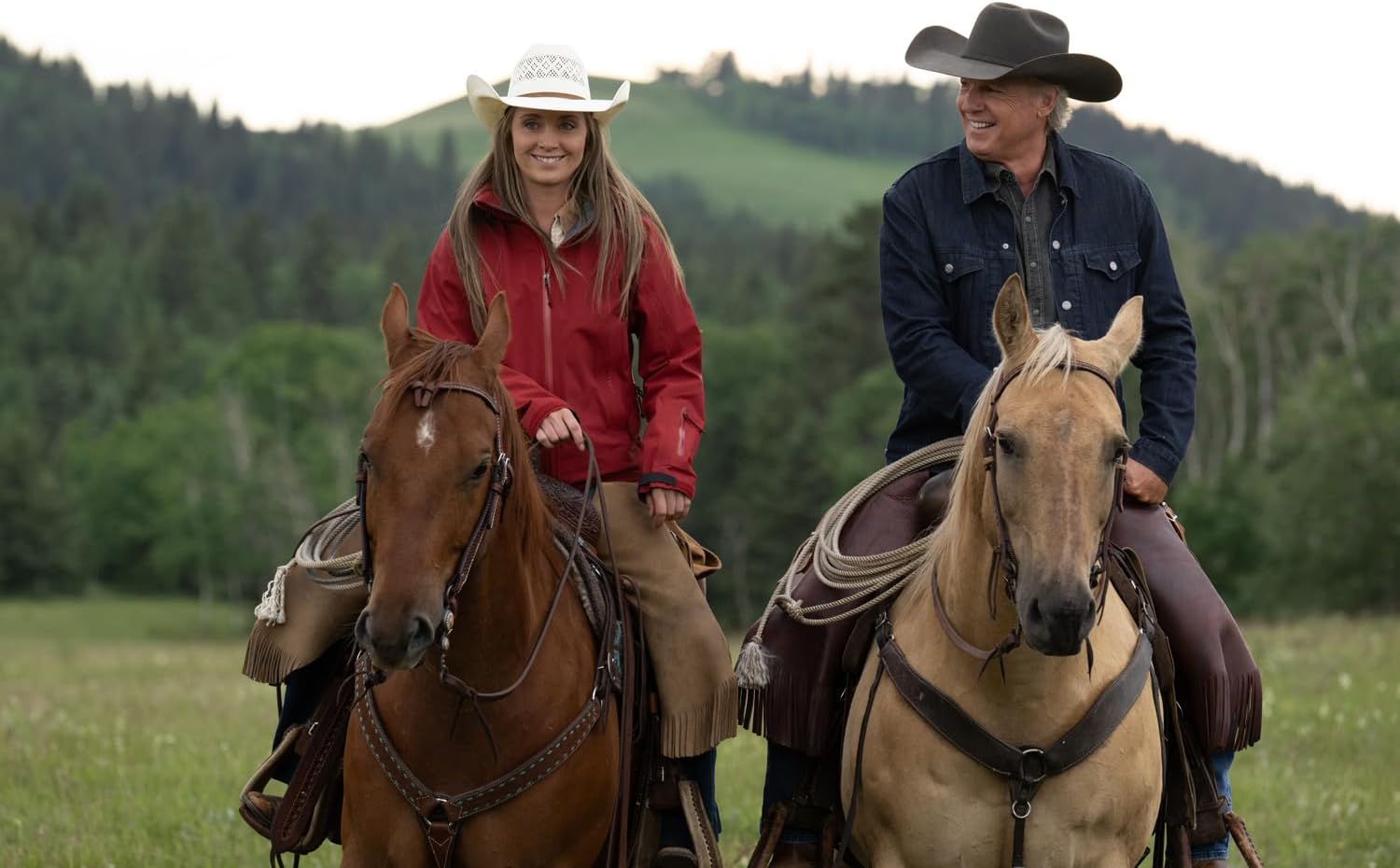 Heartland - Paradies für Pferde, Staffel 17 (3 DVDs