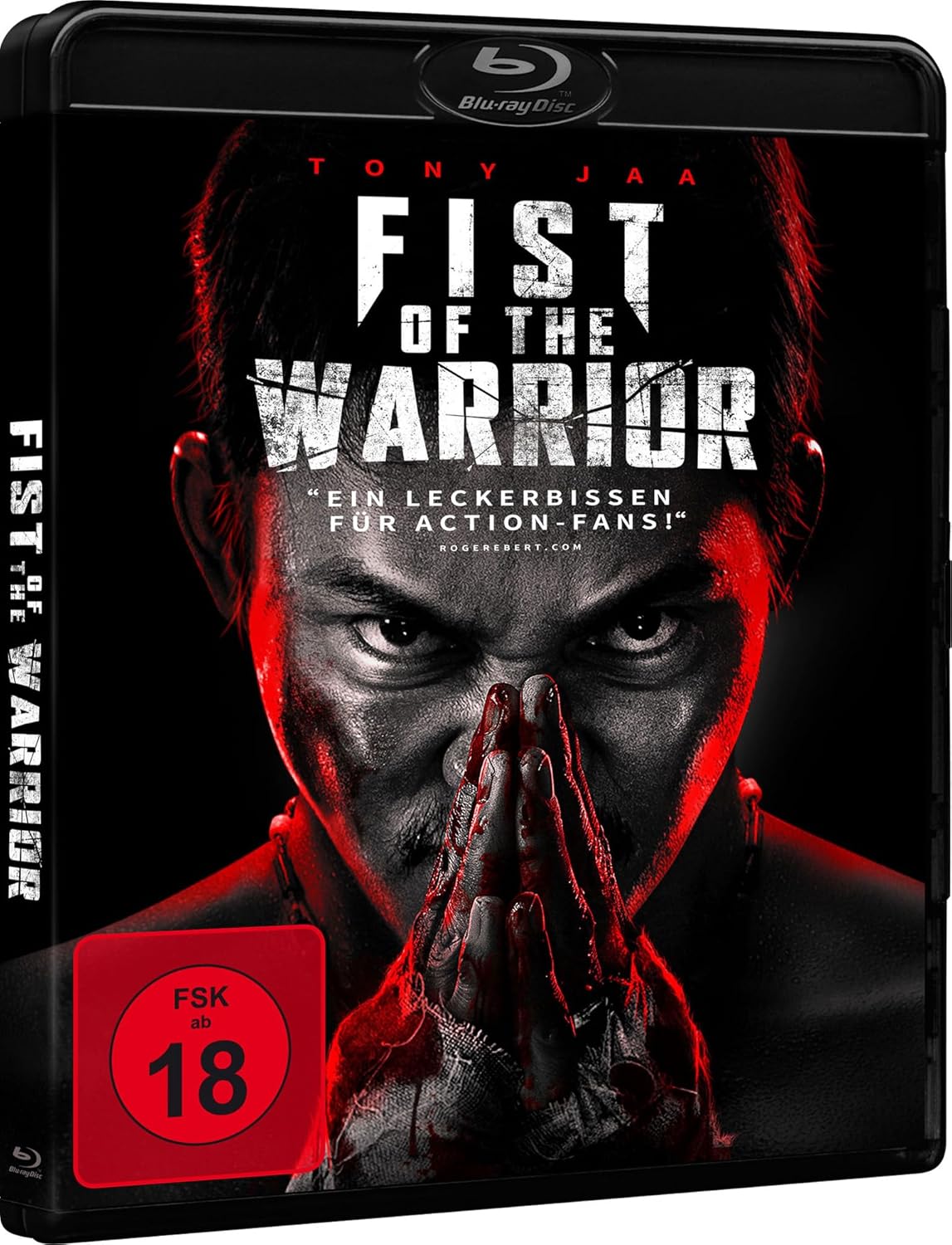 Fist of the Warrior