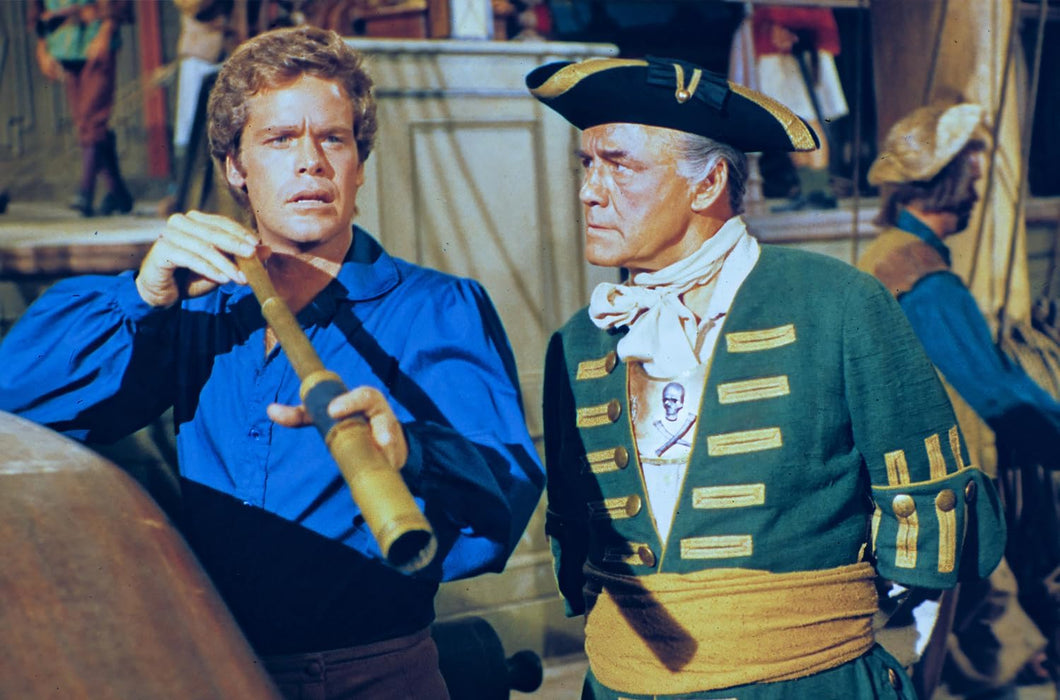 Der Pirat des Königs