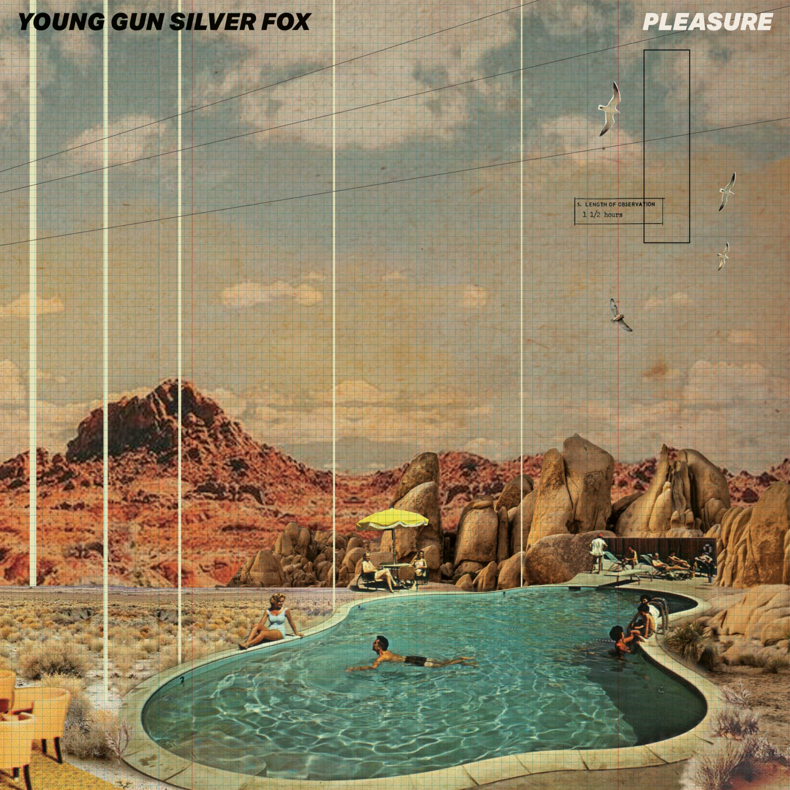 Pleasure