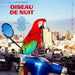 OISEAU DE NUIT