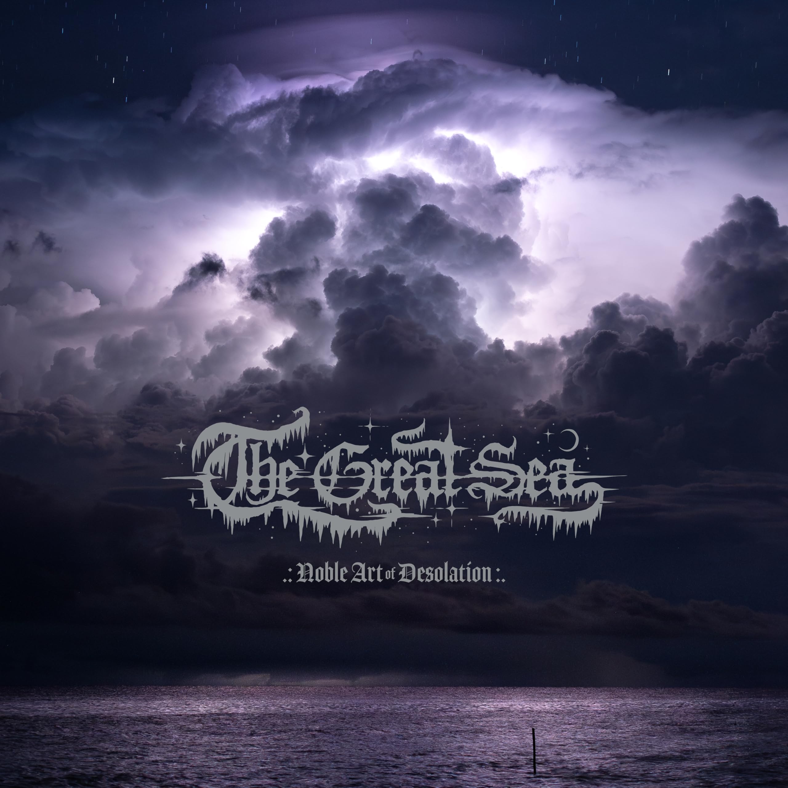NOBLE ART OF DESOLATION (LP)