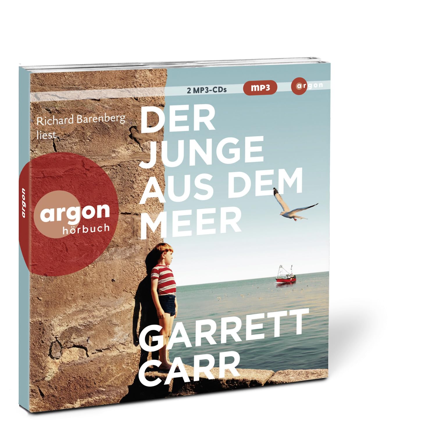 Der Junge aus dem Meer: Der große, warmherzige Familienroman aus Irland