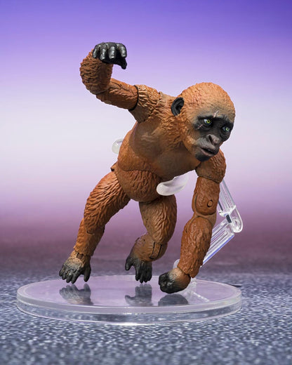 TAMASHII NATIONS - Godzilla x Kong: Das neue Imperium - Suko & Mothra aus Godzilla x Kong: Das neue Imperium (2024), Bandai Spirits S.H.MonsterArts Actionfigur