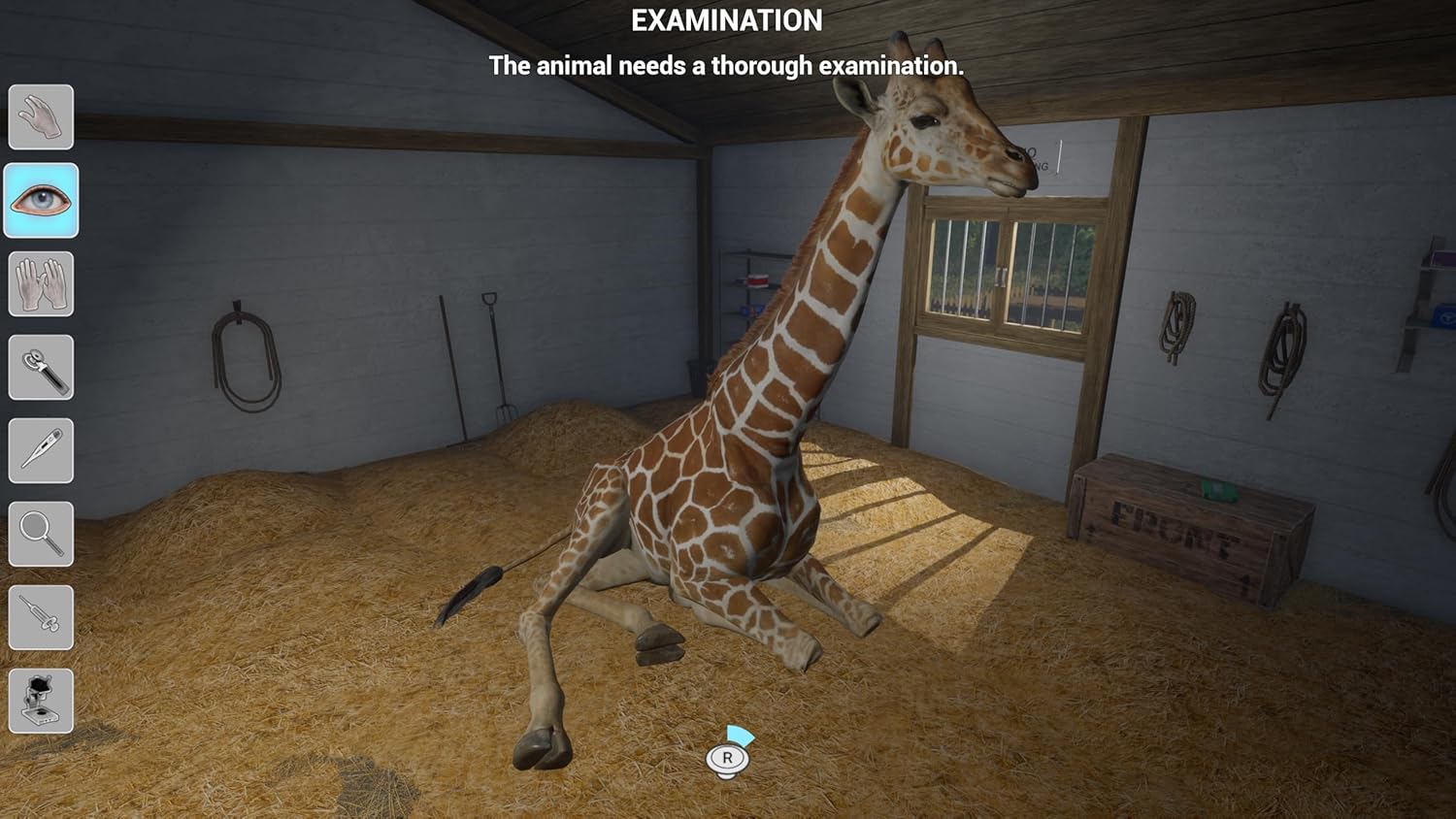 My Vet Practice in the Zoo (PlayStation 5 PS5) Game