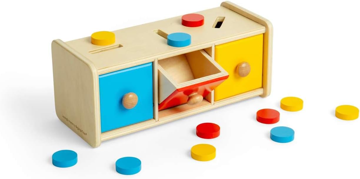 Bigjigs Toys Token Sorter – 16 pezzi giocattolo Montessori in legno abbinato, attività educativa di apprendimento precoce per bambini, realizzato in modo sostenibile, età 12+ mesi