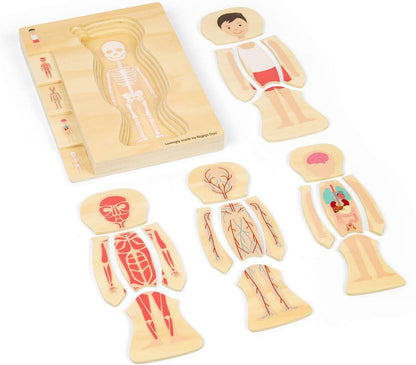 Bigjigs Toys Puzzle con anatomia maschile, set da 26 pezzi di puzzle del corpo umano, puzzle in legno, giocattolo scientifico per imparare e giocare, puzzle educativi, risorse pre-scuola, età 3 anni +