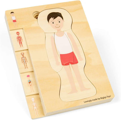 Bigjigs Toys Puzzle con anatomia maschile, set da 26 pezzi di puzzle del corpo umano, puzzle in legno, giocattolo scientifico per imparare e giocare, puzzle educativi, risorse pre-scuola, età 3 anni +