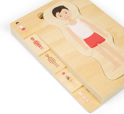 Bigjigs Toys Puzzle con anatomia maschile, set da 26 pezzi di puzzle del corpo umano, puzzle in legno, giocattolo scientifico per imparare e giocare, puzzle educativi, risorse pre-scuola, età 3 anni +