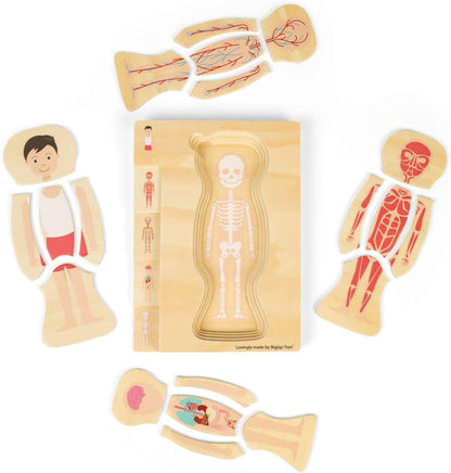 Bigjigs Toys Puzzle con anatomia maschile, set da 26 pezzi di puzzle del corpo umano, puzzle in legno, giocattolo scientifico per imparare e giocare, puzzle educativi, risorse pre-scuola, età 3 anni +