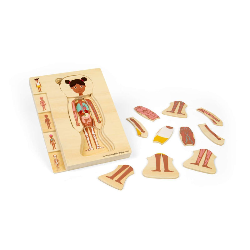 Bigjigs Toys Rompecabezas de anatomía femenina – Juego de rompecabezas de cuerpo humano de 26 piezas, rompecabezas de madera, juguete de ciencia para aprender y jugar, rompecabezas educativos